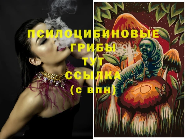 прущая мука Надым